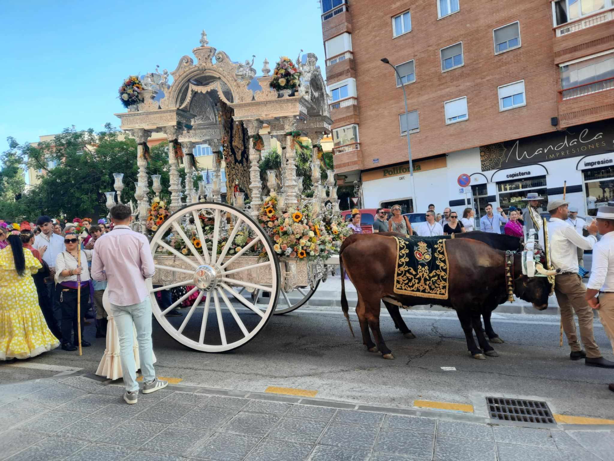 494823377_706403465677779_3652305625907605349_n