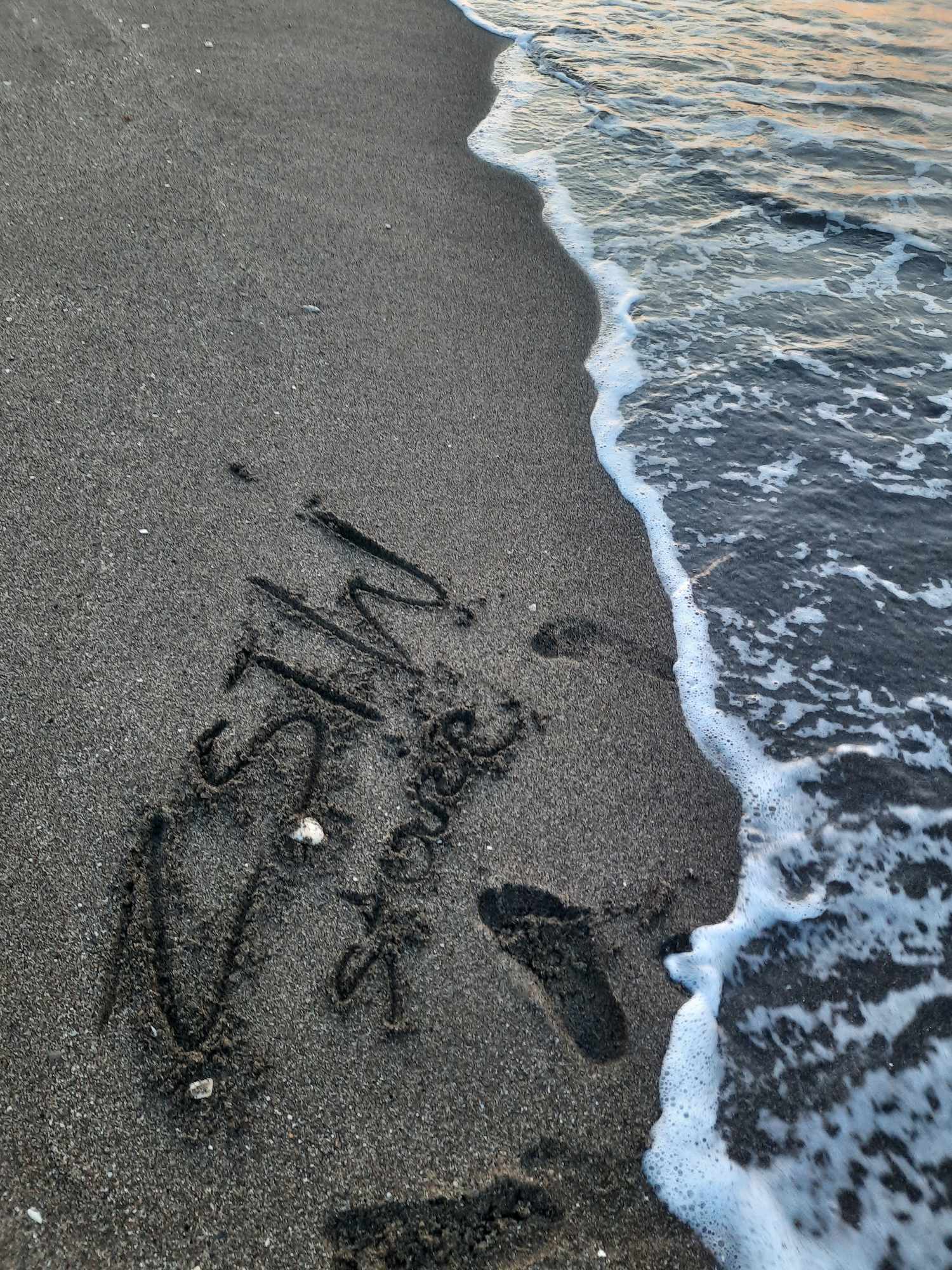 502100933_1411234006829246_3229502589773286701_n