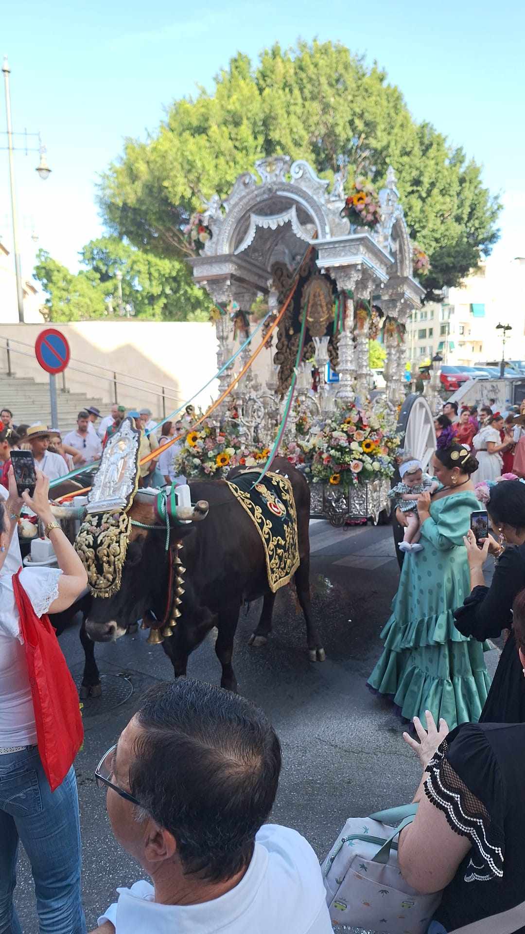 505951472_706545928829462_5129941045574548066_n