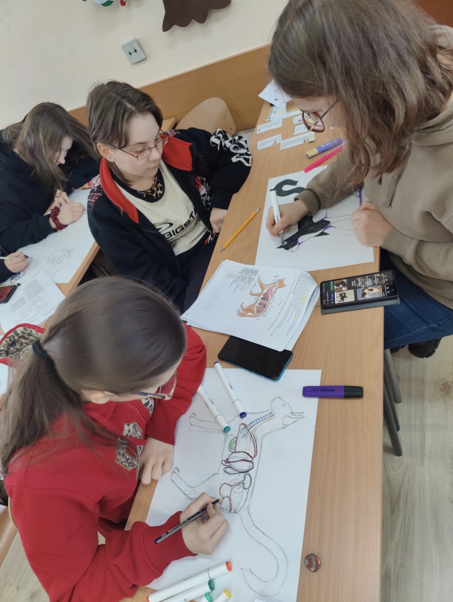 8e7ebb51-2a98-472d-8865-a98a0e8310f5