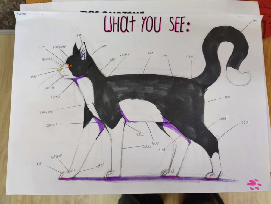 b960d6c9-5fac-4a4a-b343-1fe097dc187b