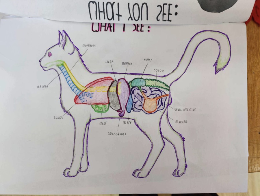 cb31d5cb-256c-4755-8d59-d4e30c76722c