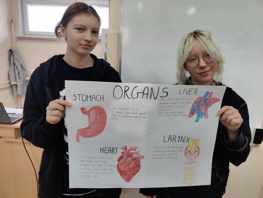 d33e42c5-23db-44ec-8c28-4074198e251c