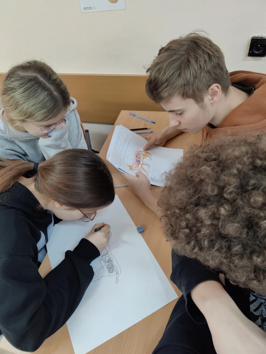 d765f47a-9a03-4184-93b1-e356ce70deb3