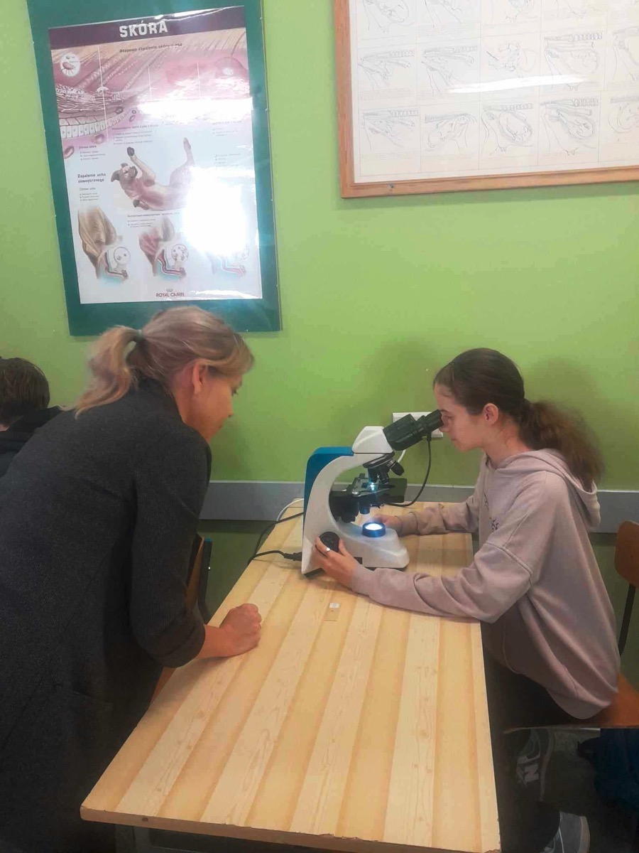 462554638_1777280173012320_3040551819429046596_n