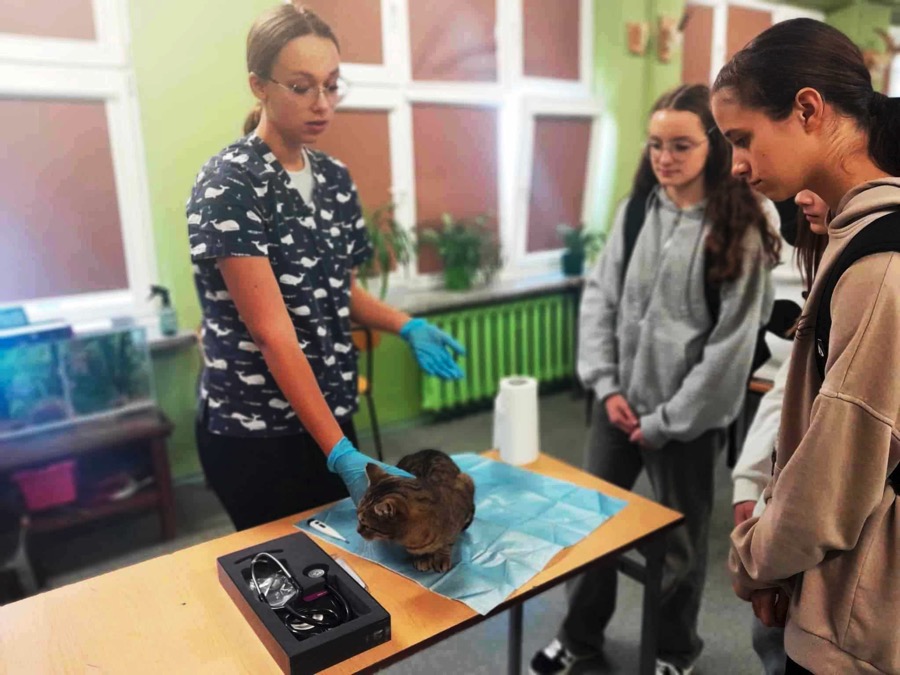 462555342_8276243235821133_7543311409798495859_n