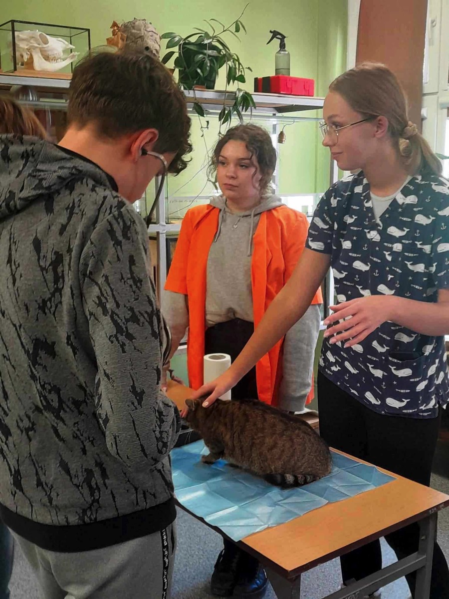 462563141_558116360233417_5659170197814454414_n