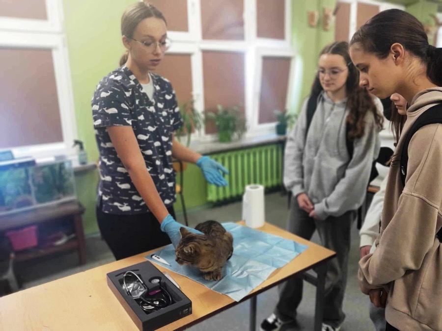 462555342_8276243235821133_7543311409798495859_n