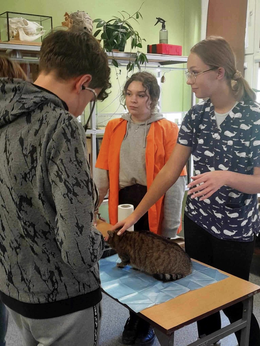 462563141_558116360233417_5659170197814454414_n